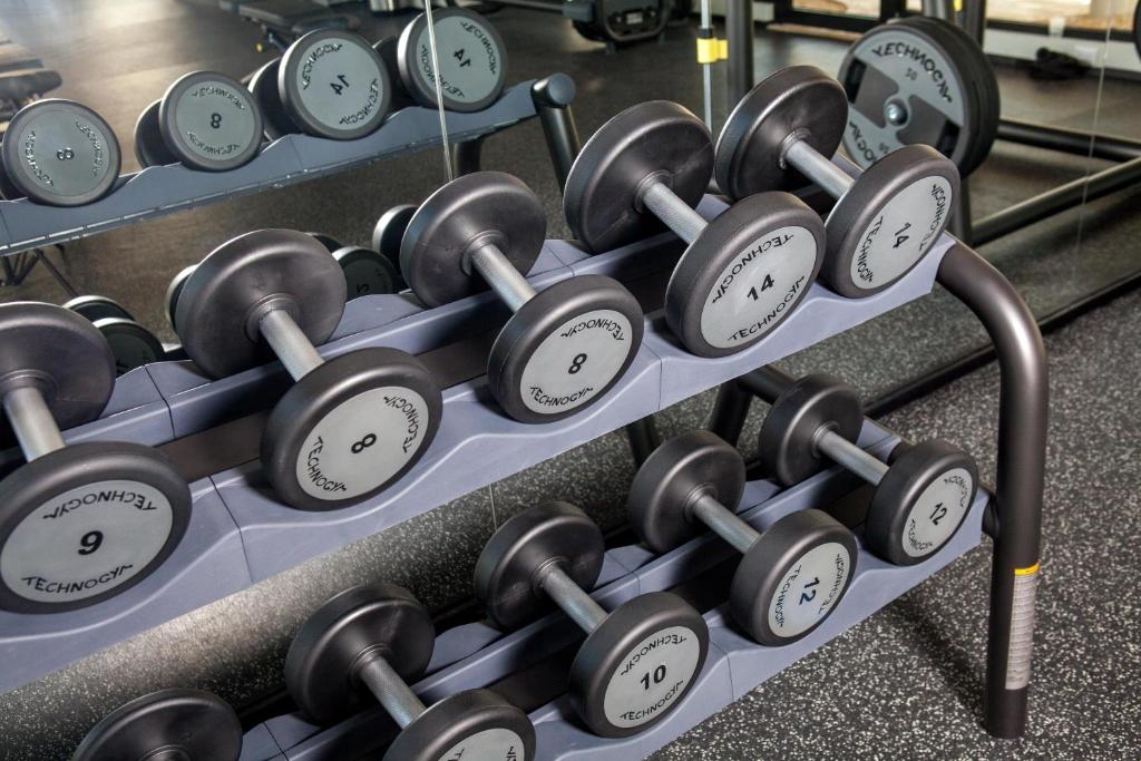 Svara stieņi sakārtoti uz plaukta sporta zālē, ar skaidri redzamām svaru vērtībām. Atspoguļojums spogulī papildina telpas dinamiku.