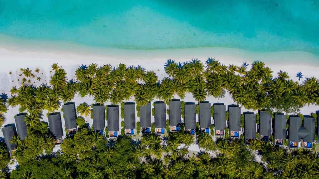 Tropu pludmales kūrorts ar palmām un luksusa viesnīcu bungalow rindu, kas izvietota blakus skaidrajam zilajam okeānam.
