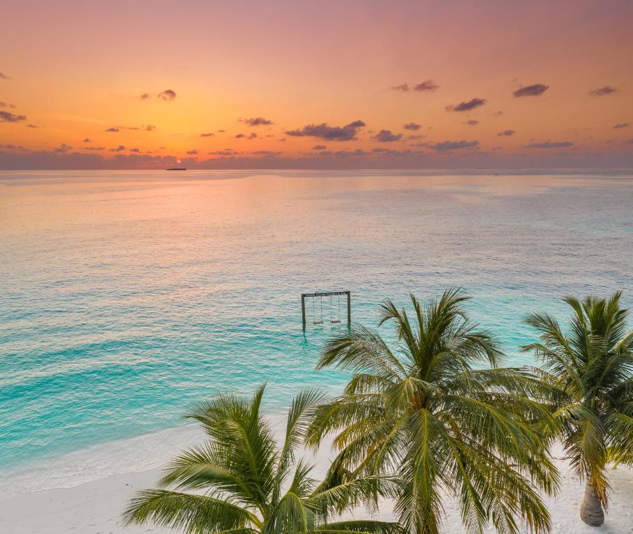 Piedzīvojiet saulrietu pie tropos, kur palmām fonā ir mierīga jūra un šūpoles pludmalē. Šī ainava rada mierīgu un idillisku atmosfēru.