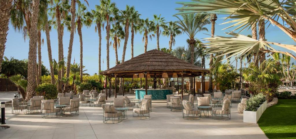 Tropiska atpūtas zona ar palmām un ērtām sēdvietām, kas piedāvā relaksējošu atmosfēru. Centrā esošs paviljons ar bāru, ideāli piemērots atpūtai saulainā dienā.