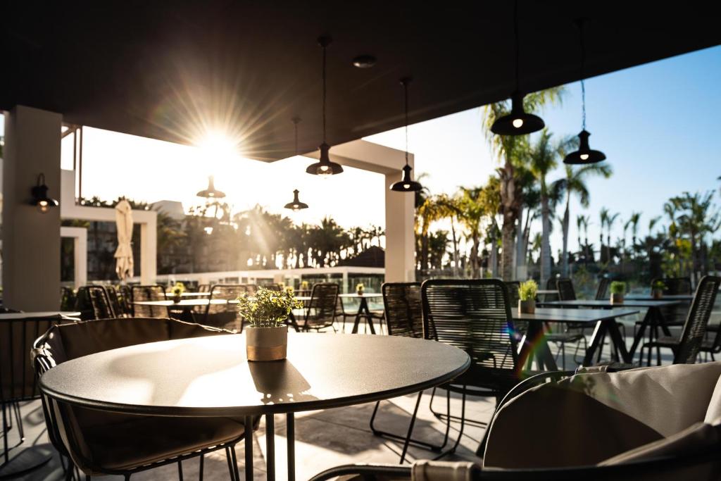 Mūsdienīgs restorāna terases skats ar galdiem un krēsliem, kas izkārtoti zem saules stariem. Fons rotā zaļi palmu koki un brīnišķīga atmosfēra.
