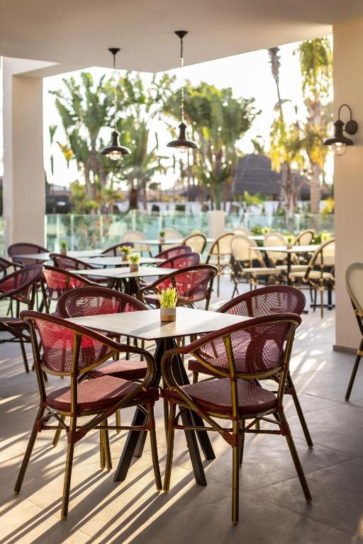 Mūsdienīgs restorāns ar saulainu terasi, kurā ir eleganti galdi un krēsli. Dārza auga detaļas piešķir patīkamu atmosfēru.