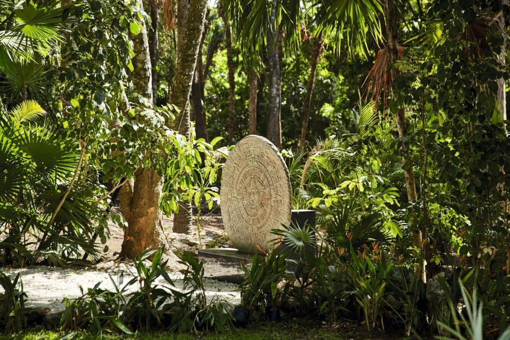 Akmens monēta ar izstrādājumiem, ieskauta zaļā tropu mežā, kurā redzami dažādi augi un palmas. Daba un vēsture saplūst harmonijā.