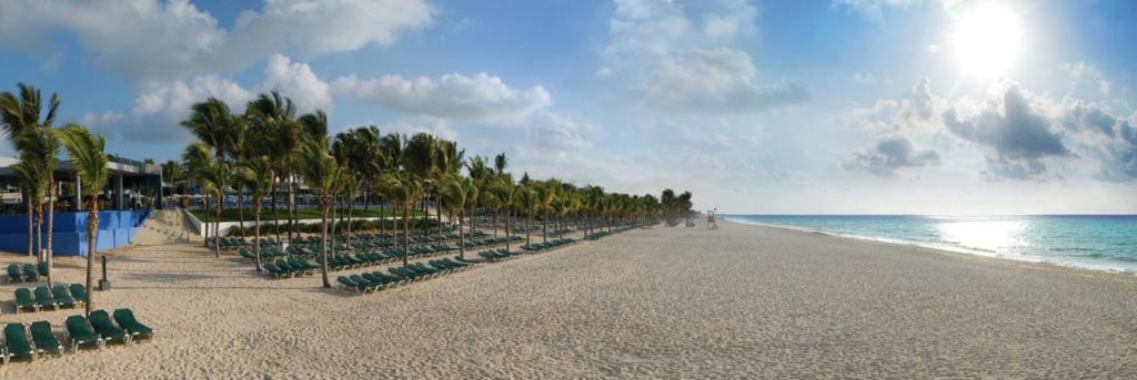 Pludmale ar saules gultām un palmām, kas stiepjas gar zeltainu smilšu krastu, ar mierīgu jūru un zilu debesu fonu. Ideāla vieta relaksācijai un atpūtai.