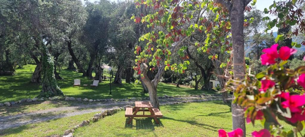 Skaista ainava ar olīvkokiem un ziedošiem krūmiem, kurā redzama koka galdiņa un krēslu zona atpūtai. Daba un mierīga atmosfēra veido ideālu vietu relaksācijai.