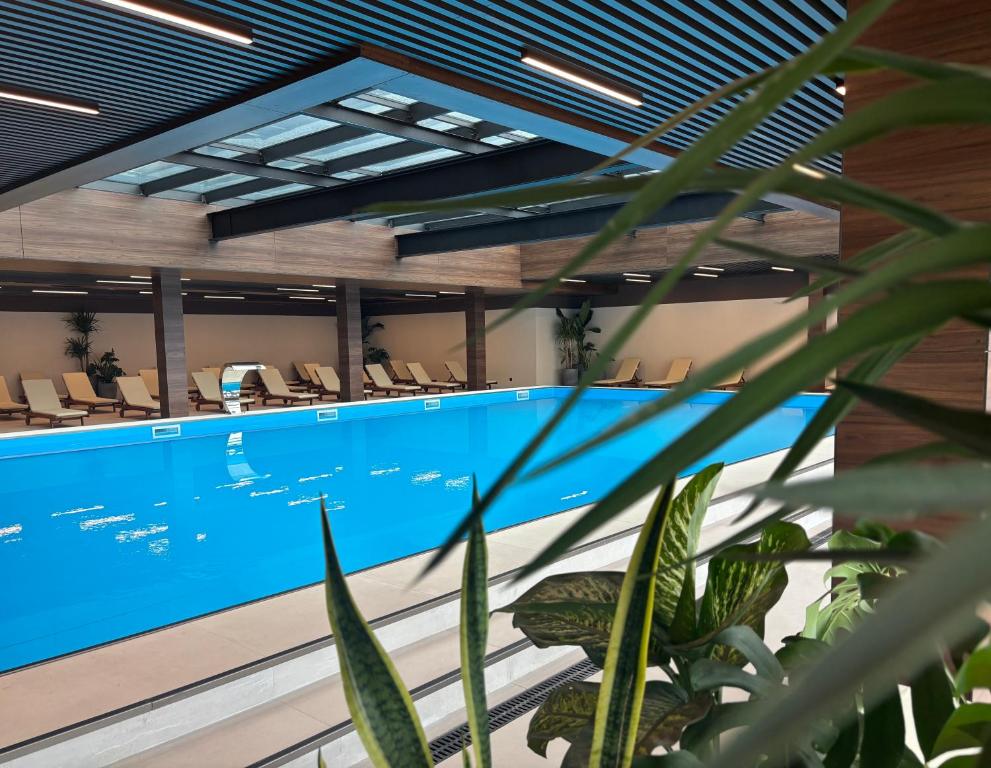 Mūsdienīgs iekštelpu baseins ar skaidru zilu ūdeni un atpūtas krēsliem, ko ieskauj zaļas telpaugi. Gaisīga vide ar koka un stikla elementiem.