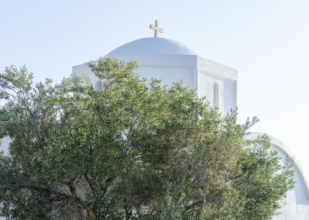 Baltas baznīcas kupols ar krustu, daļēji apslēpts zem zaļiem kokiem.
