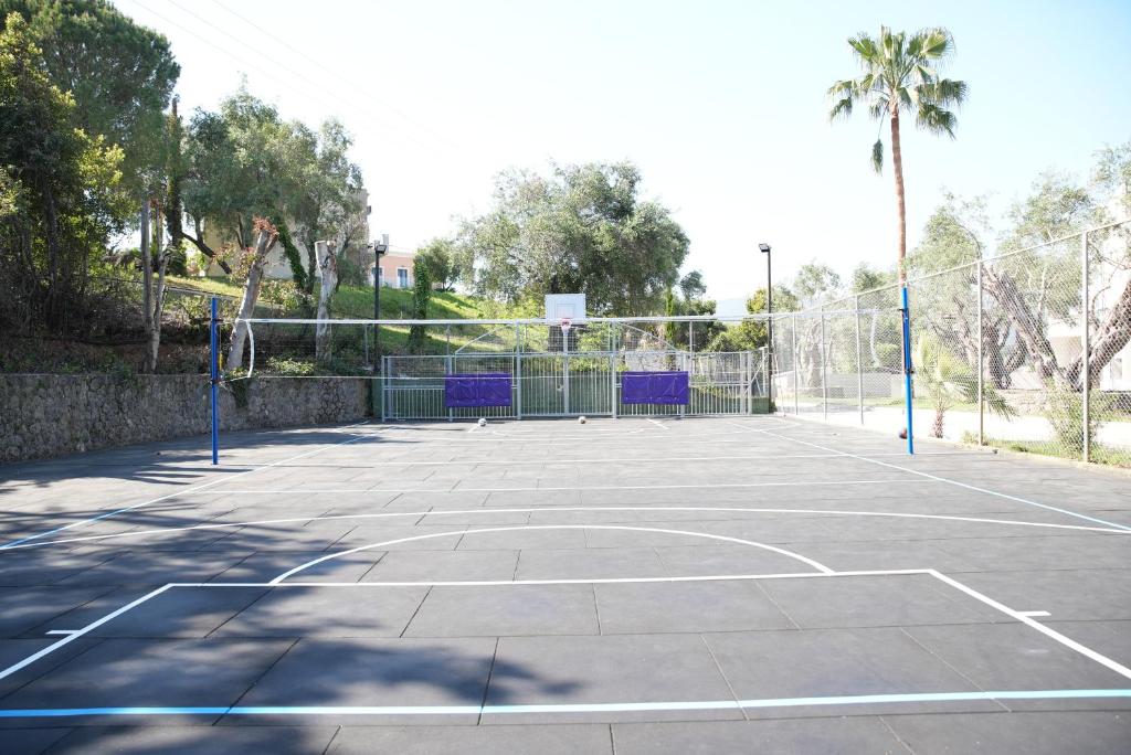 Sporta laukums ar basketbola grozu un volejbola tīklu, apzaļumota zona apkārt. Ideāla vieta aktīvai atpūtai un sporta aktivitātēm.