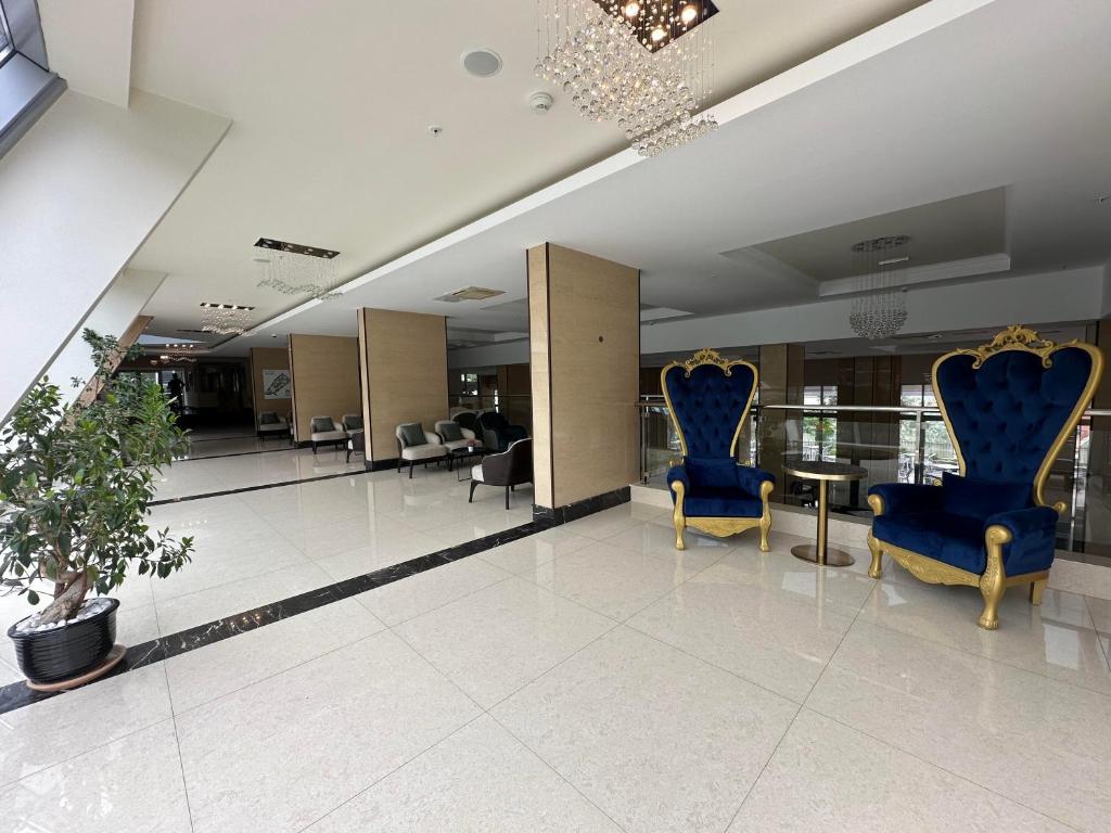 Elegants interjers ar zilu un zeltu krēslu komplektu. Gaismas ķermeņi un mūsdienīgs dizains rada viesmīlīgu atmosfēru.