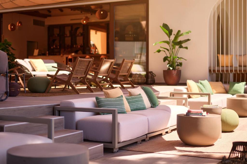 Moderns un stilīgs atpūtas zona ar ērtām dīvānu komplektiem, krēsliem un zaļiem augiem, radot mierīgu un relaksējošu atmosfēru.