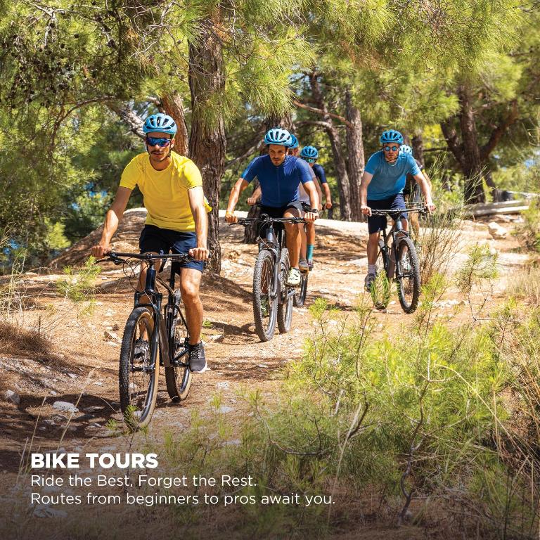 Pastaigu ar velosipēdiem grupā, kas brauc pa meža taku saulainā dienā. Ieteikumi maršrutiem no iesācējiem līdz profesionāļiem.