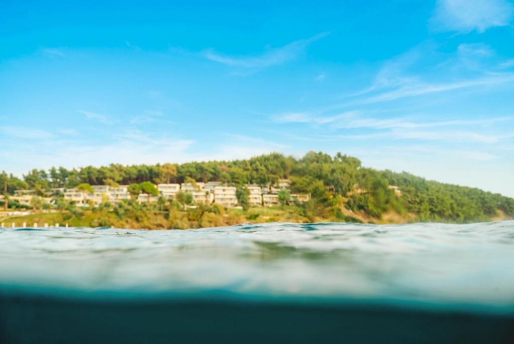 Ūdens virsma ar ainavu fonā, kur redzamas mājas un zaļumi. Skaista, saulaina diena ar skaidru zilu debesu.