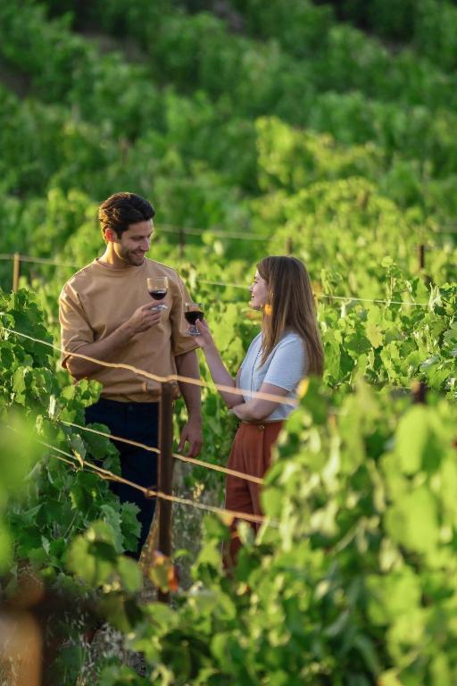 Pāris, kas stāv vīna dārzā un baudīja sarkano vīnu, iepriecinoši sarunājoties starp zaļajām vīnogu vīlēm.