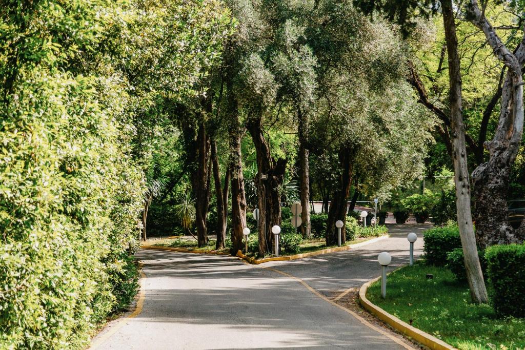 Zaļš ceļš, ko ieskauj krāšņi koki un krūmi, veido patīkamu un mierīgu ainavu. Ceļš vijas cauri dārza teritorijai, pievienojot dabas skaistumu.