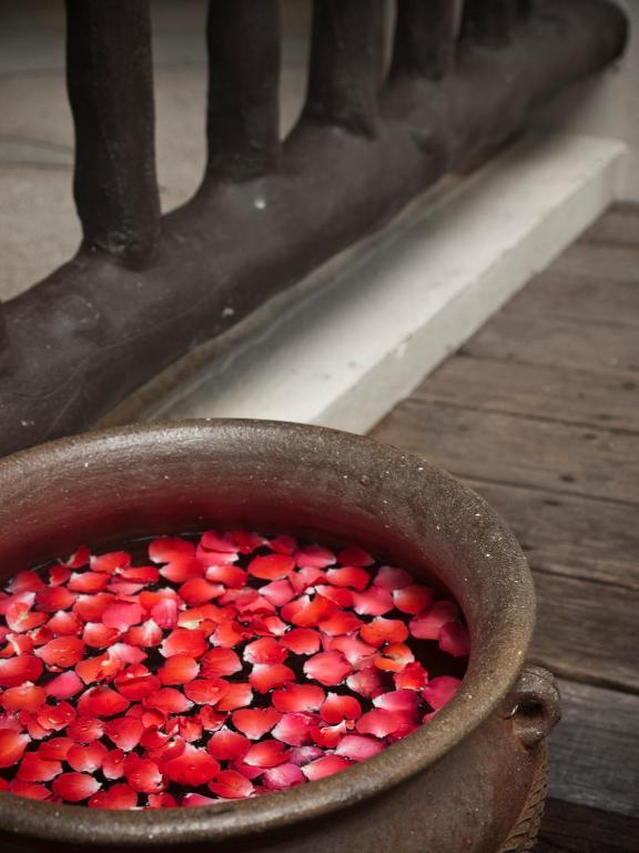 Sarkanu ziedlapiņu maiss ūdenī, novietots keramikas traukā, ar koka margām fonā.