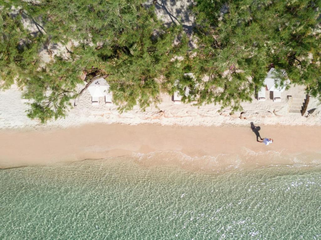 Pludmales ainava ar smilšu krastu un skatu uz skaidru ūdeni, kur divi cilvēki pastaigājas. Virs tiem redzami koki, kas sniedz ēnu, un saulessargi ar atpūtas krēsliem.