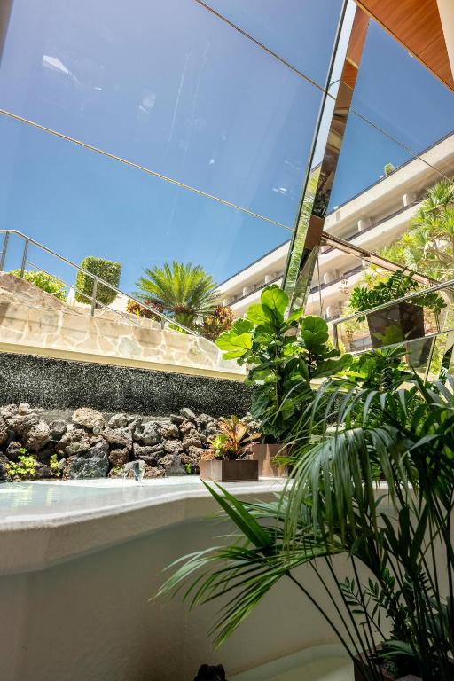 Mūsdienīga interjera skats ar stikla sienu, kas atveras uz dārzu ar zaļām augiem un ūdens strūklaku, radot relaksējošu atmosfēru.