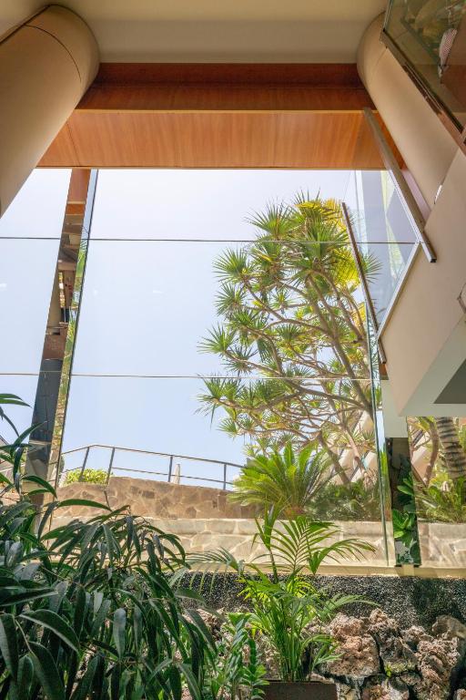 Lieliska mūsdienīga arhitektūra ar stikla sienu un redzamu zaļumu, kas rada gaisīgu un atvērtu atmosfēru. Dabas elementi harmoniski apvienojas ar interjera dizainu.