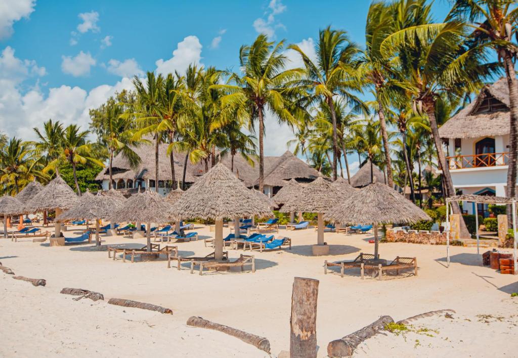 AHG Waridi Beach Resort & Spa pludmales zona ar palmām un sauļošanās krēsliem