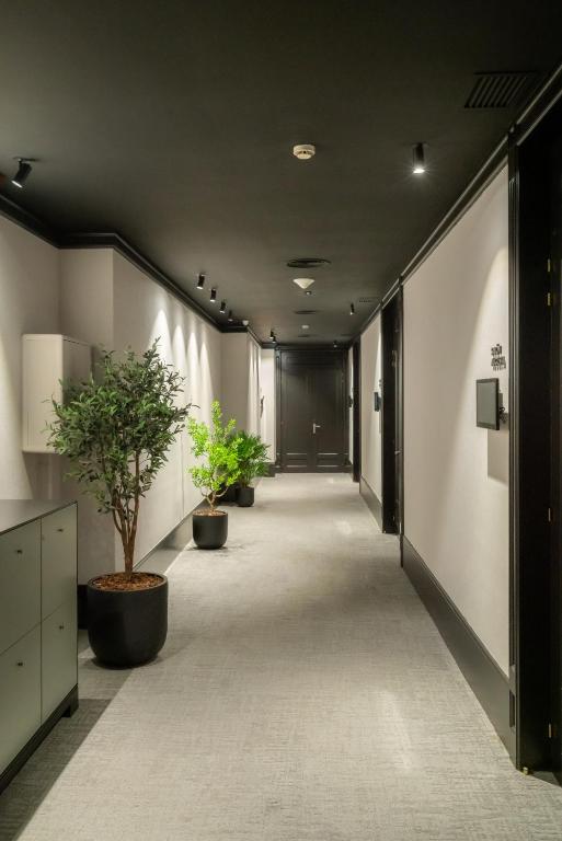 Mūsdienīgs viesnīcas gaiteņš ar melnu griestu un dekoratīvām augiem, kas pievieno dabas elementus. Apgaismojums rada mierīgu atmosfēru.