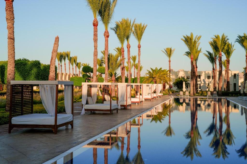 Peldbaseins ar palmām pie Sentido Reef Oasis Senses Resort