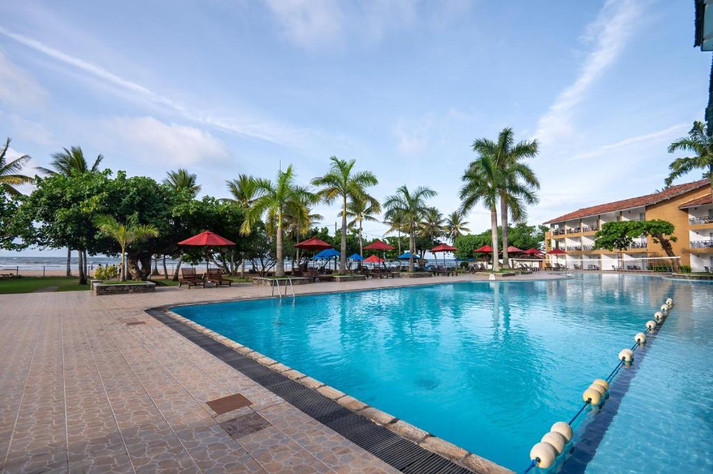 Lieliska atpūtas vieta ar peldbaseinu, apkārt palmām un sarkaniem parasoliem, kas rada relaksējošu atmosfēru. Fons ir skats uz jūru un viesnīcu.