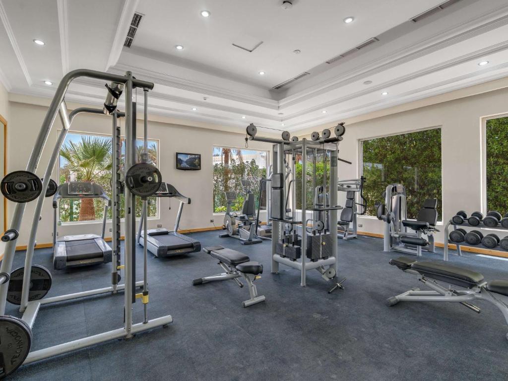 Mūsdienīga trenažieru zāle ar dažādām sporta iekārtām un dabīgu apgaismojumu caur logiem, kas sniedz skatu uz zaļiem augiem.