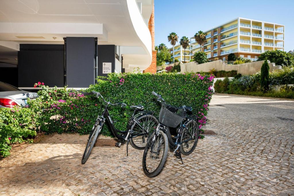Divas melnas velosipēdi ir novietoti pie dzīvokļu kompleksa, ko ieskauj zaļa dzīvžoga un krāšņas puķes. Fons attēlo modernu ēku ar palmām.