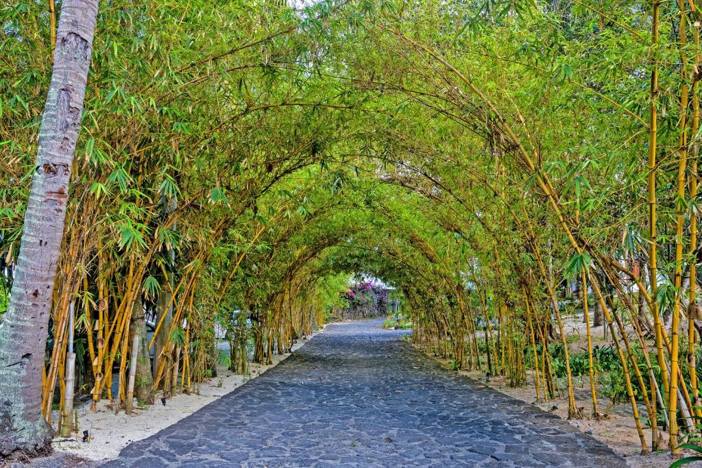 Bambusa aleja pie Seasense Boutique Hotel & Spa