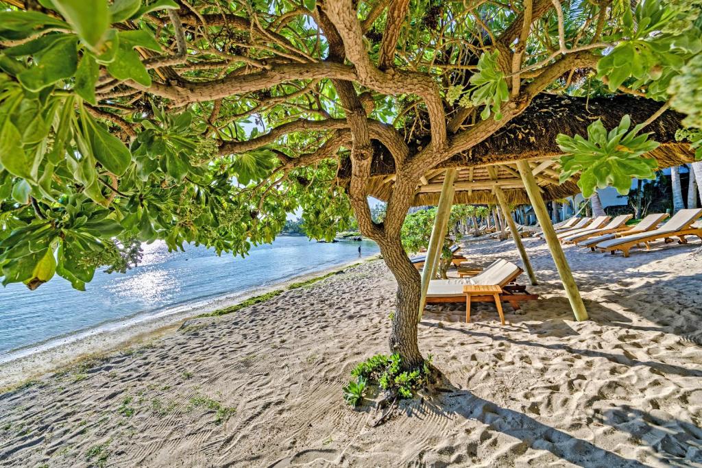 Seasense Boutique Hotel & Spa pludmale ar atpūtas krēsliem