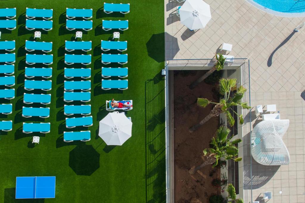 Peldbaseina zona ar zaļu zāli, zilām sauļošanās krēslām un baltiem saulessargiem. Attēlā redzama arī atpūtas zona ar palmām un unikālu mēbeļu dizainu.