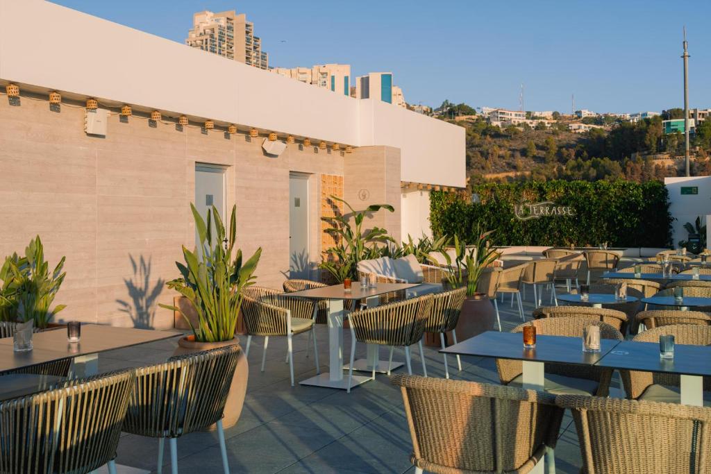 Terases laukums ar stilīgām mēbelēm un zaļām augu kompozīcijām, kas rada relaksējošu atmosfēru. Ideāla vieta, kur baudīt ēdienus un dzērienus.