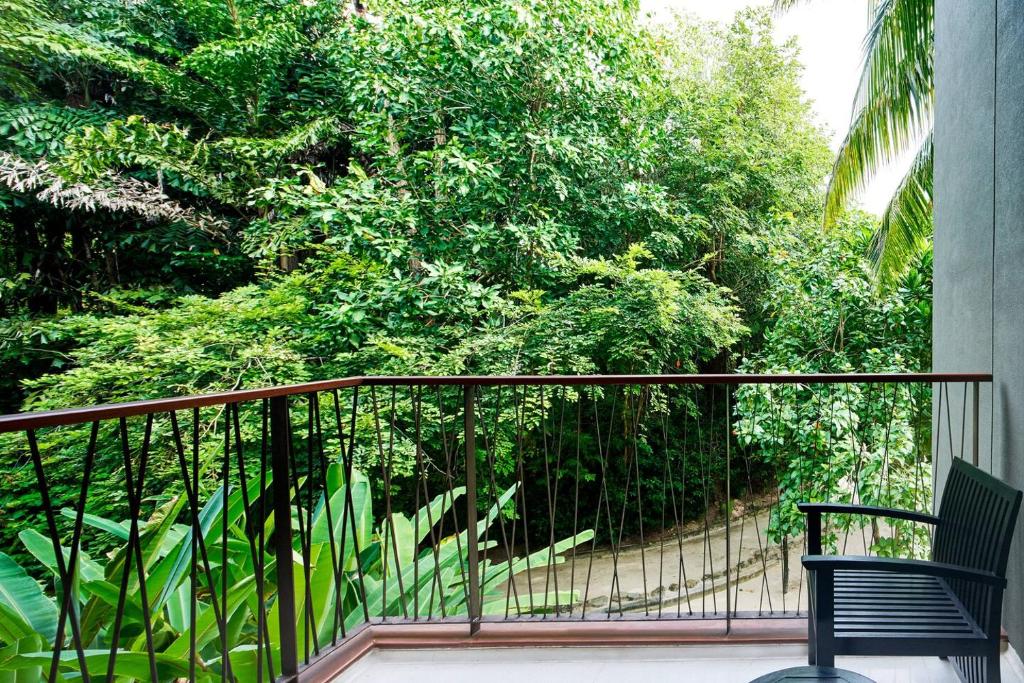 Zaļš skats no balkona, kur redzami sulīgi koki un krūmi, radot mierīgu atmosfēru. Ideāli piemērots relaksācijai dabas vidē.