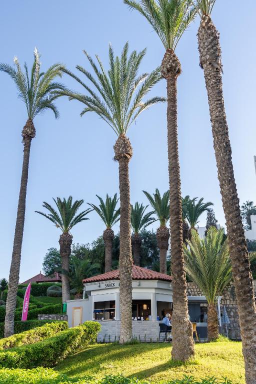 Lielas palmas, kas aug pie viesnīcas ar ērtu terasi, radot tropisku atmosfēru. Apskalots zālājs un skaidrs debesis papildina ainavu.