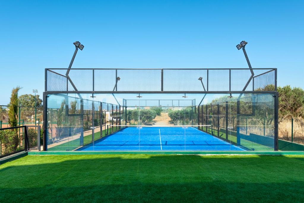 Tenisa laukums ar zilu segumu un caurspīdīgām sētām, izvietots saulainā vidē ar zaļu zāliena apmalīti. Ideāls laukums sporta aktivitātēm.