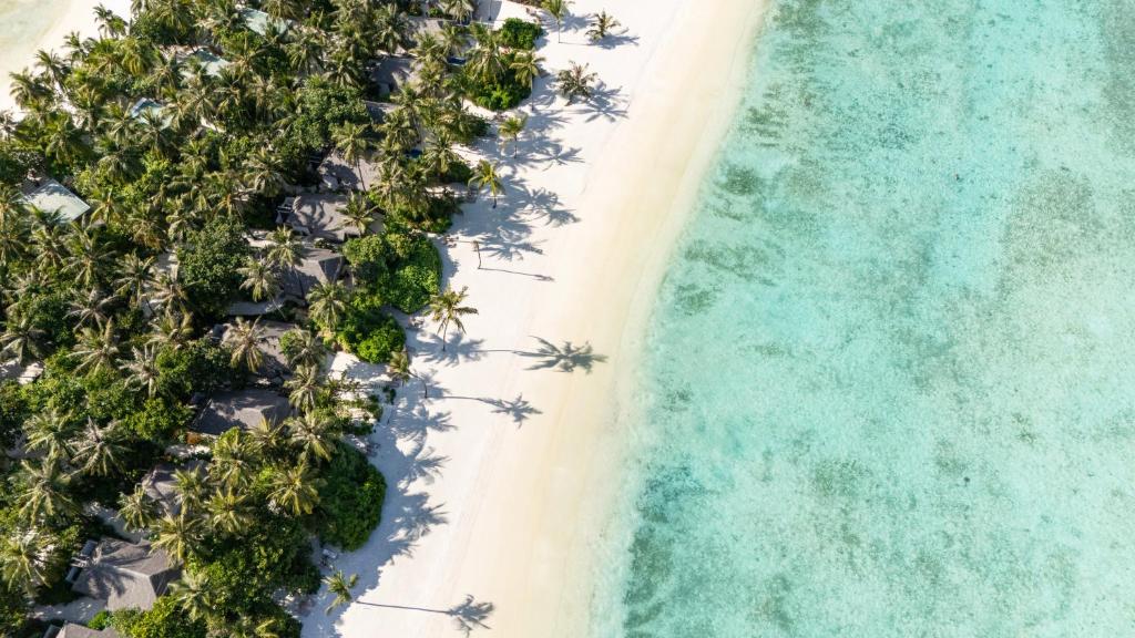 Tropu pludmale ar palmām un skaidru ūdeni, kas rada relaksējošu atmosfēru. Ideāla vieta atpūtai un atpūtas brīvdienām.