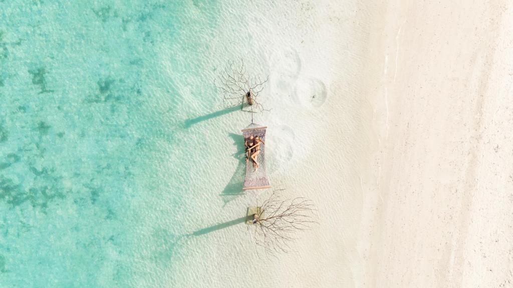 Tīras ūdens pludmales ainava ar guļamo gultu, kas novietota starp izsistām koku saknēm. Šī fotogrāfija rada mierīgu un relaksējošu atmosfēru.