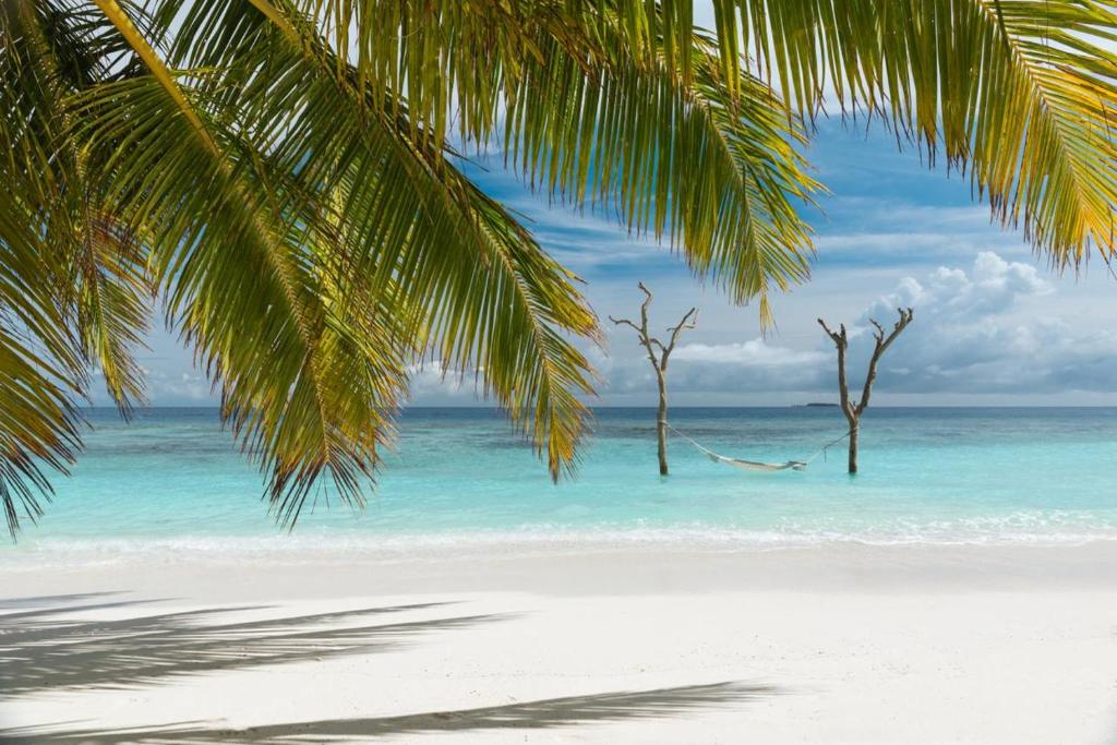 Tropu pludmale ar palmām, skaidru zilo ūdeni un baltu smilšu krastu, kas rada mierīgu un relaksējošu atmosfēru.