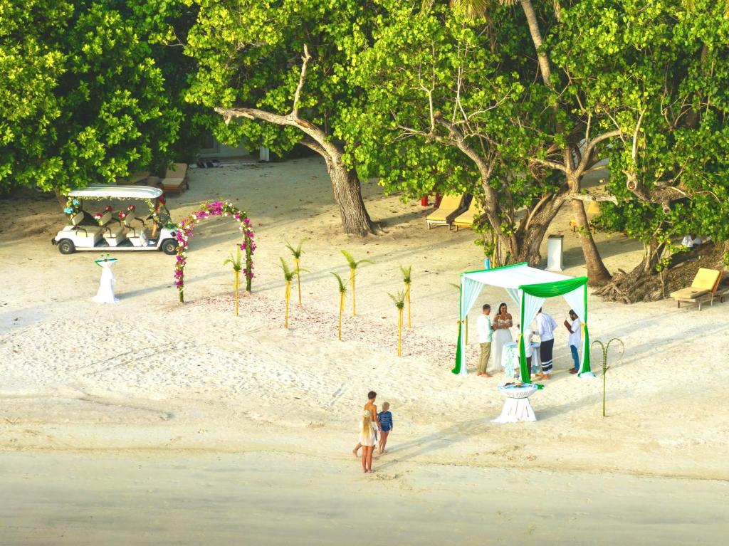 Pludmales kāzas ar dekorētu altāri un viesiem, kas pulcējušies zem zaļiem un baltajiem audumiem. Fons veido zaļa koku masa un pludmales ainava.