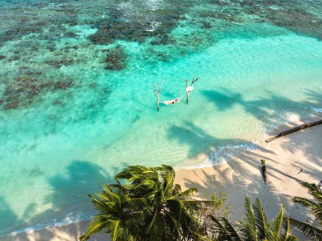 Tropu pludmale ar kristāldzidru ūdeni un šūpuļtīklu, kas piestiprināts pie koka stumbriem. Apkārt kokos un smiltīm izplūst saules gaisma.
