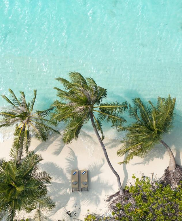 Tropu pludmale ar palmām un divām sauļošanās krēslām, kas izvietoti uz baltā smilšu fona. Kristāldzidrs ūdens piekrastē.