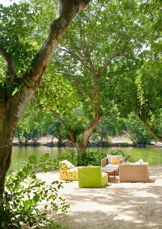 Dabīgā ainava ar zaļiem kokiem un pludmales mēbelēm pie ūdens, radot relaksējošu atmosfēru. Ideāli piemērota atpūtai un meditācijai.