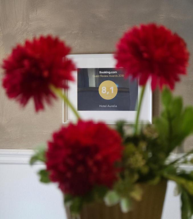 Sarkanu ziedu fons ar rāmī pakārtu balvu par viesu atsauksmēm, kurā redzams viesnīcas "Hotel Aurelia" vērtējums 8,1.
