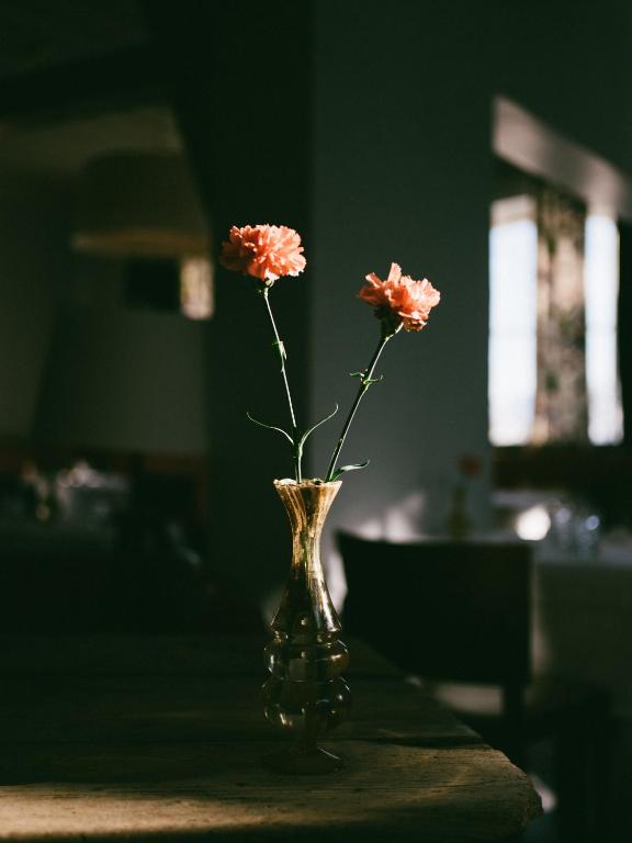 Divas rozā neļķes ziedu stāvošas caurspīdīgā vāzē, apgaismojot ērtu interjeru ar dabiskiem gaismas stariem.