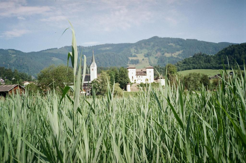 Zaļš lauks ar augstu zāli, fonā redzama veca baznīca un pils, apkārt kalni un dabiska ainava.