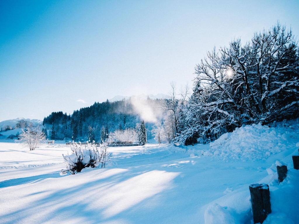 Sniegots ziemas ainava ar saulainu debesu fonu un sniega klātu zemi, kur redzami koki ar sniega pārklājumu.