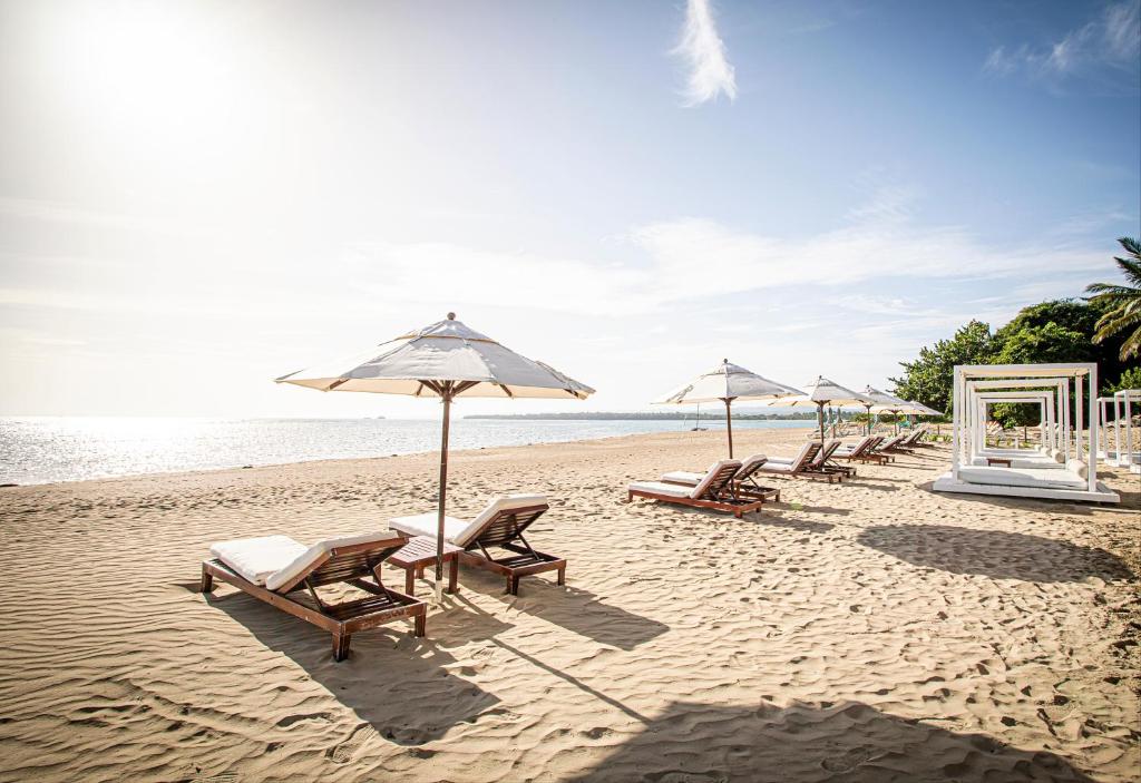 Pludmales ainava ar sauļošanās krēsliem un saules vairogiem, kas izkārtoti smiltīs, blakus mierīgai jūrai un kokosriekstu kokiem. Ideāla vieta relaksācijai un atpūtai.