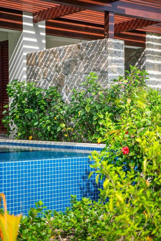 Mūsdienīga māja ar akmens sienu, apkārt zaļām augu kompozīcijām un peldbaseinu. Svaiga un relaksējoša vide ar saulainu atmosfēru.