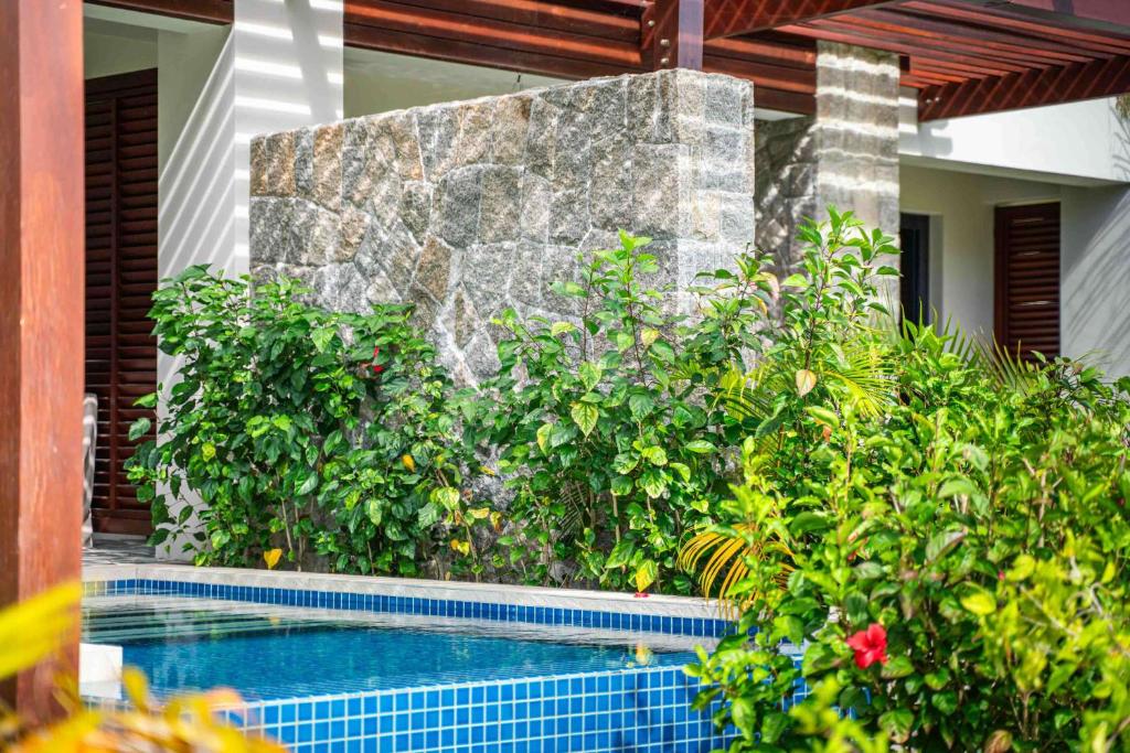 Mūsdienīgs dārza elements ar akmens sienu un zilo baseinu, ko ieskauj sulīgas zaļas augļu un ziedu krūmi. Ideāla vide relaksācijai un atpūtai.