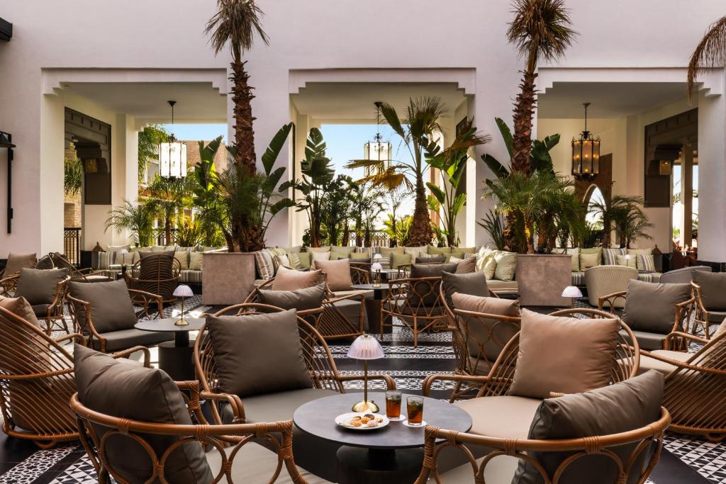 Elegants terases interjers ar ērtām ratiņiem, zaļām palmu un citu augu kompozīcijām, radot relaksējošu atmosfēru. Uz galdiem ir dzērieni un uzkodas, kas papildina vietas šarmu.